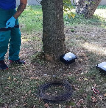 Compania Eco Igienizare începe al treilea tratament de deratizare în București