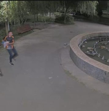 FOTO/ Un bărbat a vandalizat o căsuță cu cărți din Parcul Brâncuși din Sectorul 6: „Actele de vandalism trebuie să înceteze!”