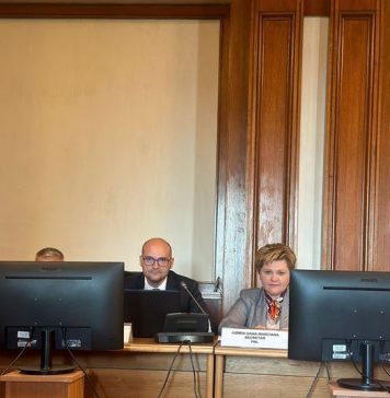 Oana Marciana Ozmen (PNL), despre agenda ședinței Comisiei pentru Industrii și Servicii