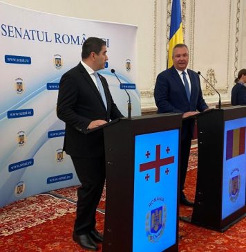 Preşedintele Senatului, Nicolae Ciucă, după întâlnirea cu preşedintele Parlamentului Georgiei, Shalva Papuashvili: România este un susţinător al agendei europene a Georgiei