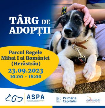 Un nou târg de adopții pentru căței, sâmbătă, în parcul Herăstrău