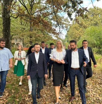 Alina Gorghiu: Pădurea Trivale. Un subiect dureros pentru toți argeșenii, nu doar pentru piteșteni!