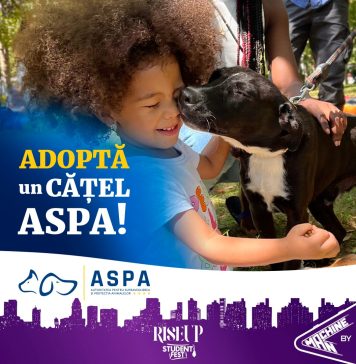 ASPA organizează un târg de adopții de căței și pisici la Festivalul RiseUp Student Fest