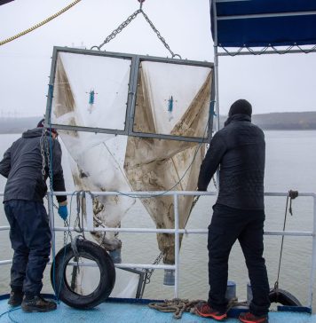 Studiu: Aproape 100 de tone de plastic sunt purtate anual de apele Dunării pe teritoriul României