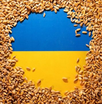 TransportMinister: We have established measures to increase level of grain transit from Ukraine through Romania