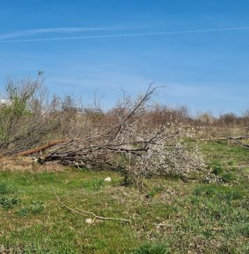 Primăria Sectorului 6 expropriază 36 de proprietăți private pe Drumul Osiei