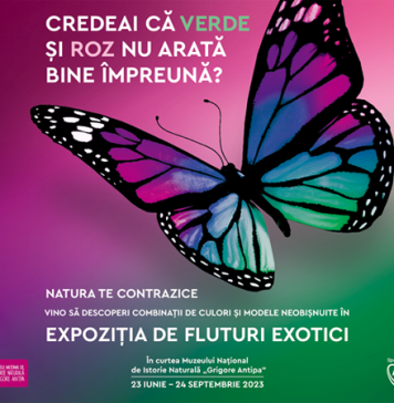 Expoziţia temporară de fluturi exotici vii de la Muzeul „Antipa”, prelungită până duminică