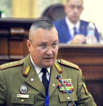 Parliament/Ionel Nicolae – proposed for Deputy Ombudswoman in torture prevention