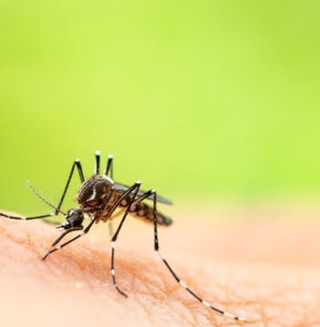 65 de cazuri de infecţie cu virusul West Nile, înregistrate până la finalul lui septembrie