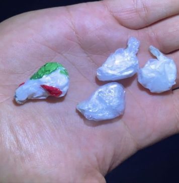 Propunerea legislativă inițiată de deputaţii Graţiela Gavrilescu, Steluţa Cătăniciu, Vlad Popescu şi Ana-Loredana Predescu: Cultivarea şi traficul de droguri se poate pedepsi cu închisoare de la 5 până la 25 de ani