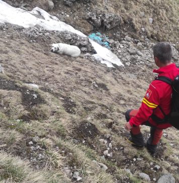 Salvamont Maramureş a recuperat un cetăţean ucrainean care se rătăcise în munţi