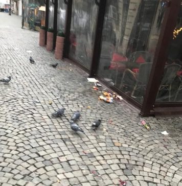 Poliția Locală a amendat cu 5.000 de lei Direcţia de Salubritate Sector 3, deoarece nu a măturat străzi din centrul Bucureștiului