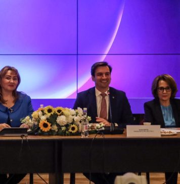 Nicoleta Pauliuc (PNL): PNL Sector3 susţine proiectul prin care dorim să protejăm copiii de efectele negative ale social media