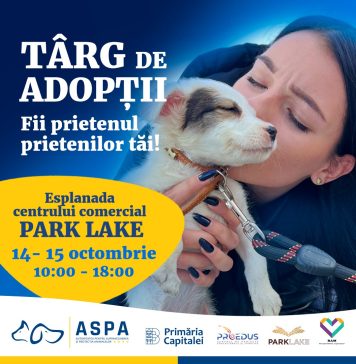 Târg de adopții de câini și pisici în grădina Park Lake Shopping Center