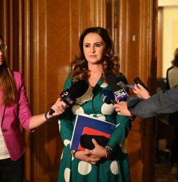 Natalia Intotero a prezentat în fata Comisiei pentru Muncă și Protecție Socială din Camera Deputaților, un raport de activitate al Ministerului Familiei, la 3 luni de la preluarea mandatului
