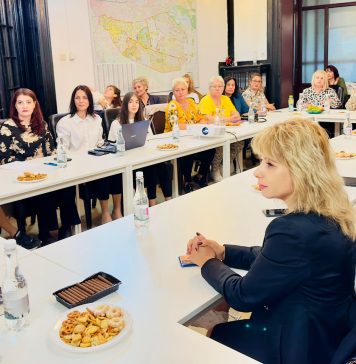 ”Spunem NU violenței domestice”, tema unei dezbateri la sediul PNL Sector 3/ Prima palma e deja prea mult, nu ezita să ceri ajutor!