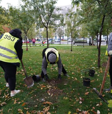 Peste 200.000 de noi arbori, arbuști și diferite plante, plantați în Sectorul 3