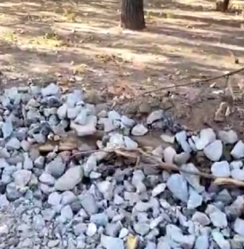 VIDEO/ Sector 3: Viceprimarul Judele a înaintat o plângere către Garda de Mediu privind „betonarea Parcului Pantelimon”