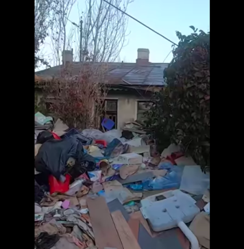 VIDEO/ Un munte de gunoaie, adunate într-o curte privată din Sectorul 2