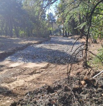 Lucian Judele, viceprimar USR Sector 3: Robert Negoiţă a început betonarea Parcului Pantelimon