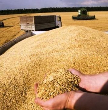 Măsuri de reglementare a importurilor de produse agricole din Ucraina sau Republica Moldova