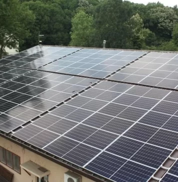 Zoo Băneasa și-a pus panouri solare și devine prosumator