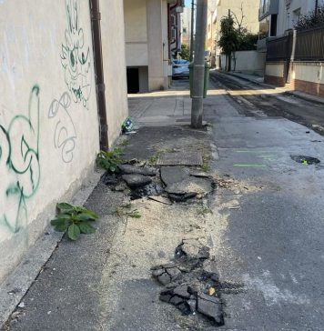 Cartierul Dorobanți vede asfaltul după aproape 15 ani de zero asfaltări. Armand: “Obiectivul meu îl constituie dezvoltarea Sectorului 1 prin investiții publice masive”