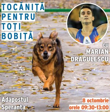 Fostul gimnast Marian Drăgulescu va găti o masă caldă pentru 500 de câini din Adăpostul Speranţa