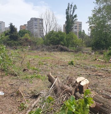 Proprietara terenului retrocedat din IOR, defrişat masiv între timp, are 88 de ani şi locuieşte într-o „garsonieră”