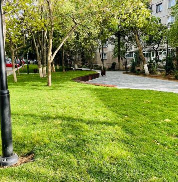 Sectorul 6: 140.000 de metri pătrați de verde și 7.000 de copaci plantați!