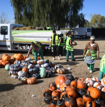FOTO/ Unde au ajuns dovlecii și baloții de paie de la West Side Hallo Fest