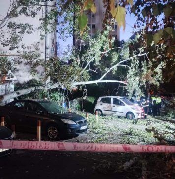 Un copac smuls de vânt a strivit mai multe mașini și a blocat intrarea la metrou, în Sectorul 3