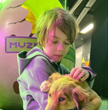 Un nou târg de adopții de căței are loc sâmbătă la Muzeul Copiilor