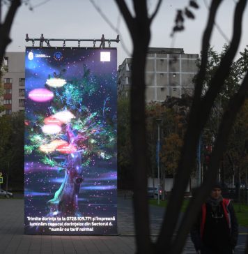 FOTO/ Sute de mesaje din partea oamenilor luminează Copacul Dorințelor Comunității din Sectorul 6