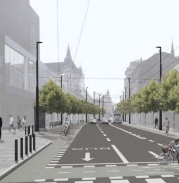 Administraţia Spitalelor București va planta aproximativ 300 de copaci