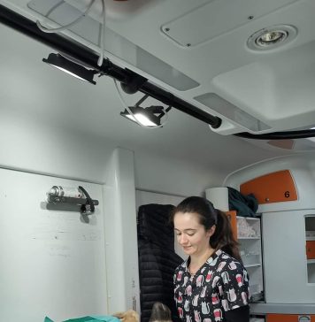 Microciparea și sterilizarea câinilor cu stăpân continuă a ajuns în Militari