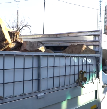 VIDEO/ Tone de lemne bune de foc, împărțite cetățenilor în nevoie din Sectorul 5. Piedone: ”Am pus de-o parte toate uscăturile defrișate prin sector”
