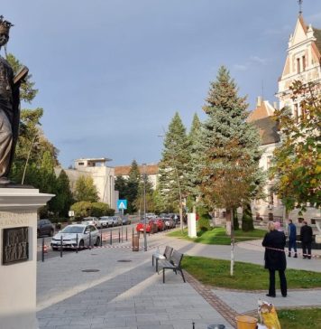Florin Oancea, primarul Municipiului Deva: A fost amplasată în Centrul Istoric al Devei statuia care o reprezintă pe Regina Maria a României