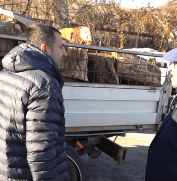 VIDEO Cristian Popescu Piedone, primarul Sectorului 5: Tone de lemne bune de foc împărțim cetățenilor noștri împovărați de nevoi