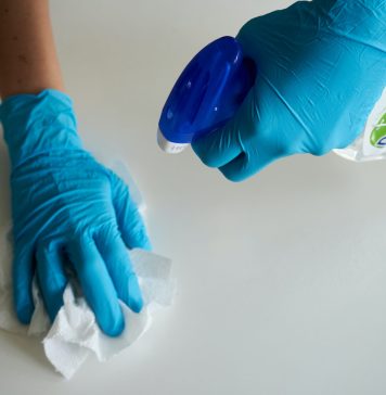 De anul viitor intră în vigoare legea prestatorului casnic. Tichete ca formă de plată, impozit pe venit și contribuții la pensie