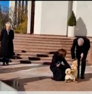 Câinele preşedintei Maia Sandu l-a muşcat pe preşedintele Austriei