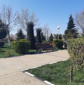 Deputatul USR Brian Cristian dă în judecată Primăria Chiajna, după ce nu a primit informațiile publice solicitate pe Legea 544