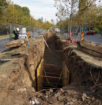 Peste 100 de copaci, defrișați degeaba de Primăria Generală. Primarul Sectorului 3 vine cu dovezi de la fața locului