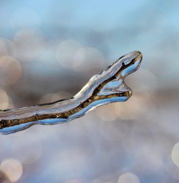 Meteorologii anunță ninsori în Capitală, în acest weekend