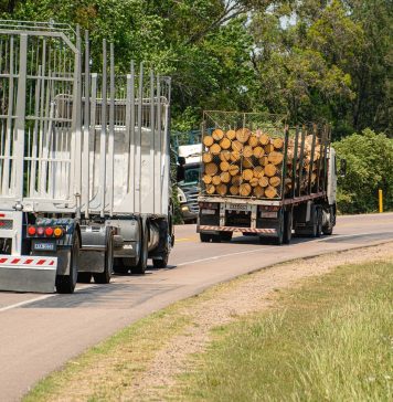 Lemnul furat ar putea fi detectat cu ajutorul inteligenței artificiale. Ministrul Mediului anunță o licitație în acest sens