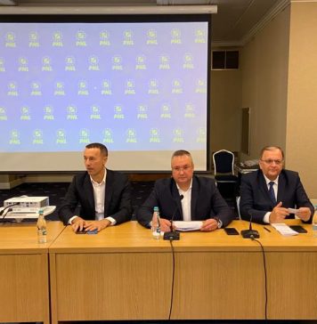 Vot unanim: PNL a ales calea „prin noi înșine” în alegerile din 2024