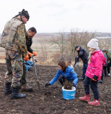 Maia Sandu anunță finalizarea campaniei de împădurire din acest an