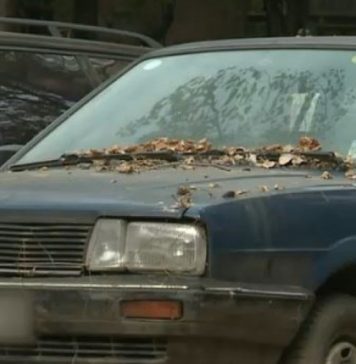 Poliția Locală din Pantelimon continuă ridicarea mașinilor fără stăpân