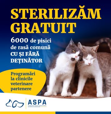 O nouă campanie de sterilizare a animalelor de companie chiar de la începutul lui ianuarie