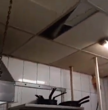 Restaurantul Gargantua din București, închis temporar de comisarii ANPC